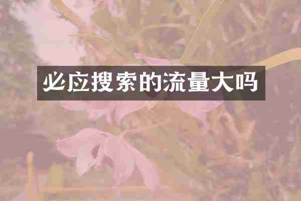 必应搜索的流量大吗