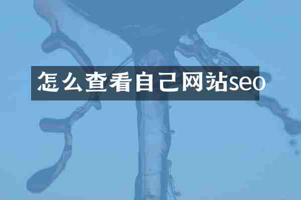 怎么查看自己网站seo