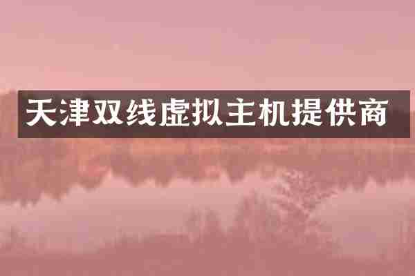 天津双线虚拟主机提供商