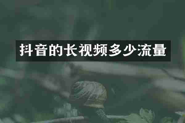 抖音的长视频多少流量