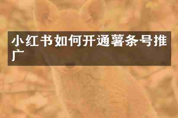 小红书如何开通薯条号推广