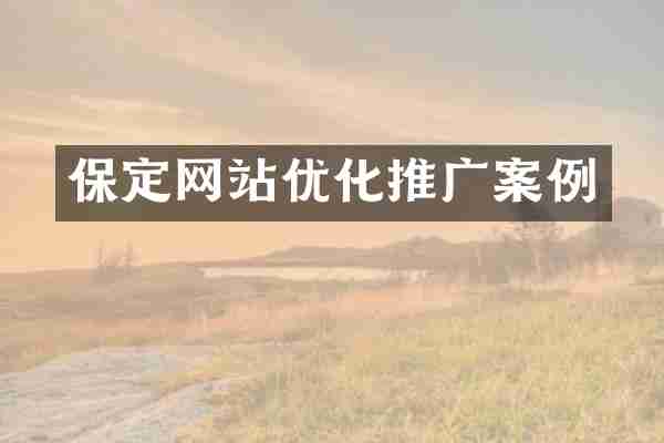 保定网站优化推广案例