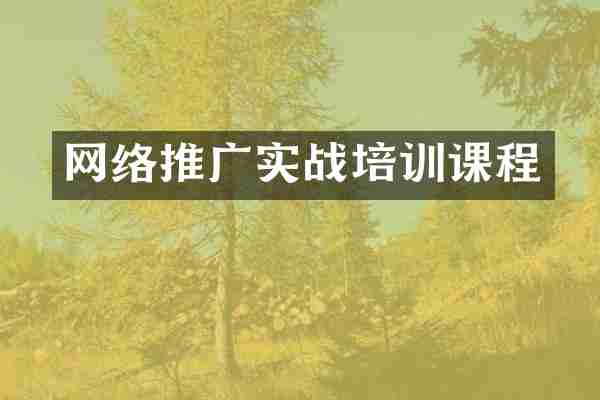 网络推广实战培训课程