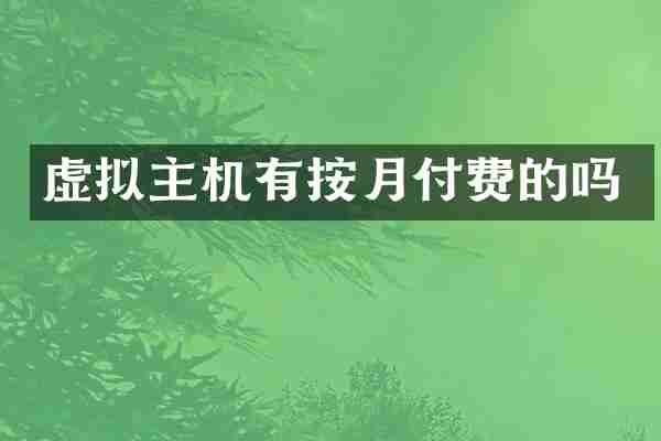 虚拟主机有按月付费的吗