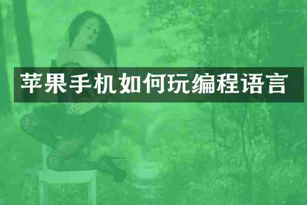 苹果手机如何玩编程语言