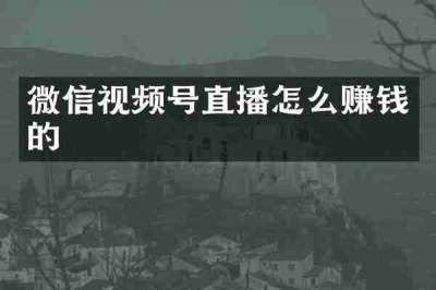微信视频号直播怎么赚钱的