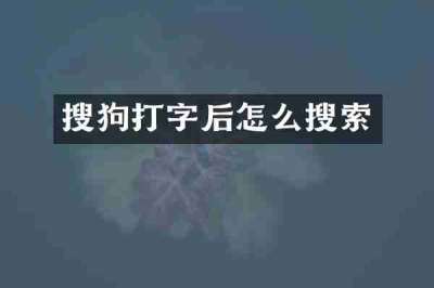 搜狗打字后怎么搜索