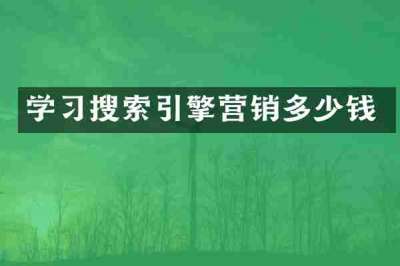 学习搜索引擎营销多少钱