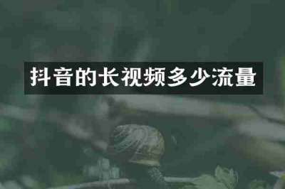 抖音的长视频多少流量