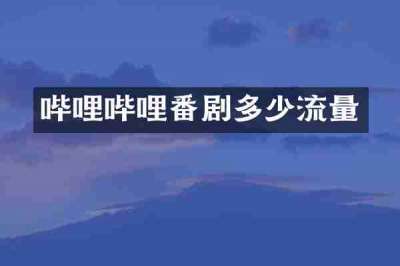 哔哩哔哩番剧多少流量