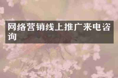 网络营销线上推广来电咨询