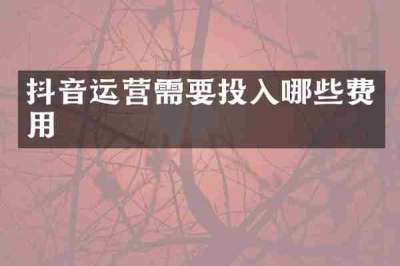 抖音运营需要投入哪些费用