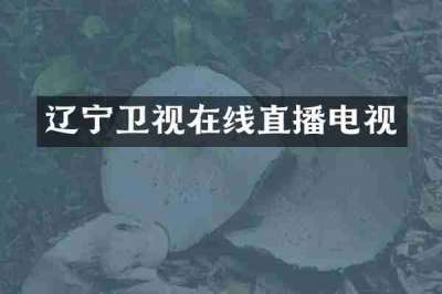 辽宁卫视在线直播电视