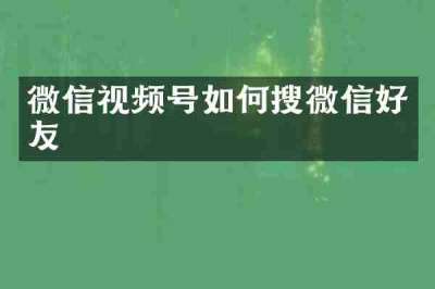 微信视频号如何搜微信好友