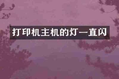 打印机主机的灯一直闪