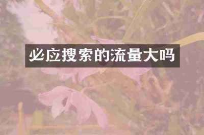 必应搜索的流量大吗