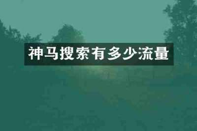 神马搜索有多少流量