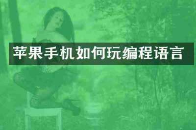 苹果手机如何玩编程语言