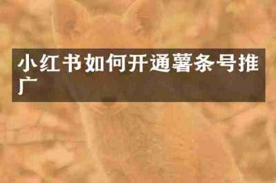小红书如何开通薯条号推广