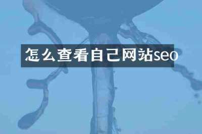 怎么查看自己网站seo