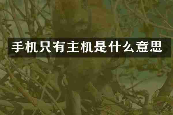 手机只有主机是什么意思