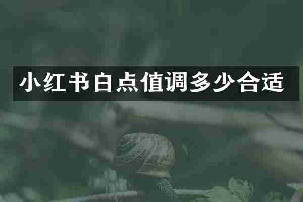 小红书白点值调多少合适