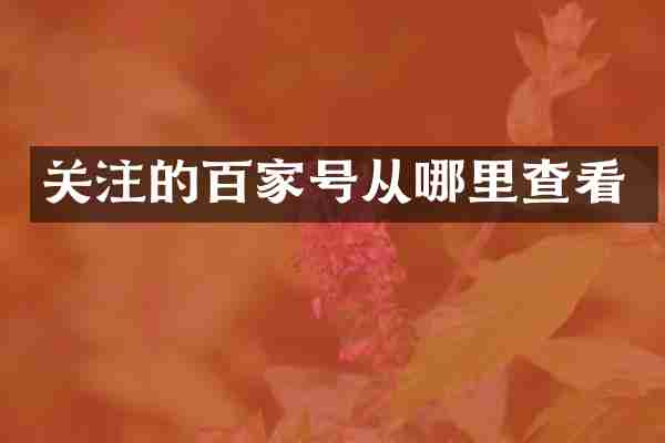 关注的百家号从哪里查看