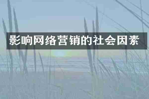 影响网络营销的社会因素