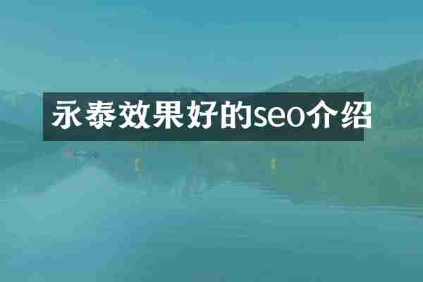 永泰效果好的seo介绍