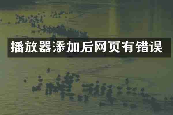 播放器添加后网页有错误