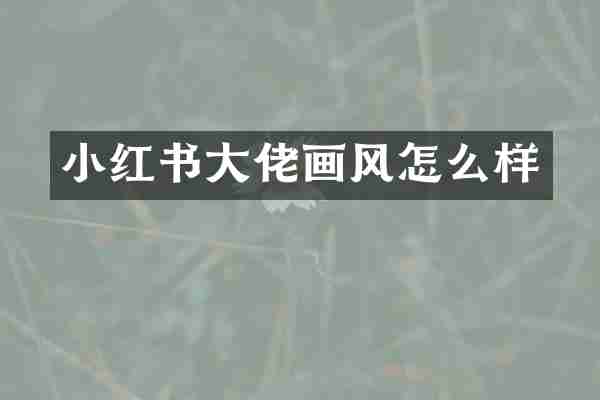 小红书大佬画风怎么样