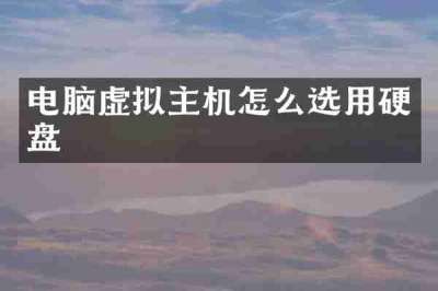 电脑虚拟主机怎么选用硬盘
