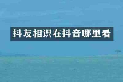抖友相识在抖音哪里看