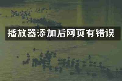 播放器添加后网页有错误