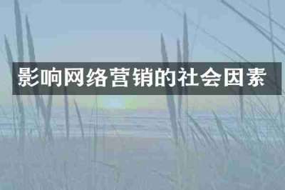 影响网络营销的社会因素