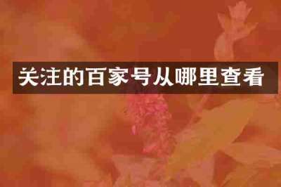 关注的百家号从哪里查看