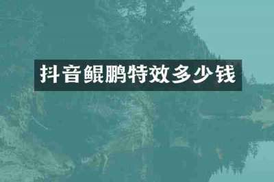 抖音鲲鹏特效多少钱