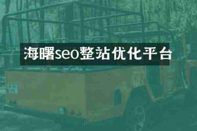 海曙seo整站优化平台