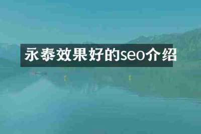 永泰效果好的seo介绍
