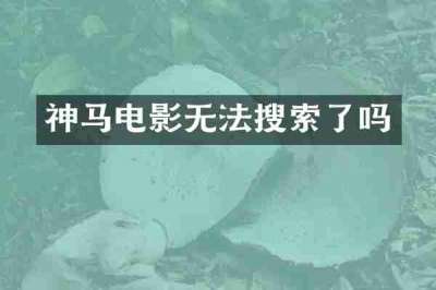 神马电影无法搜索了吗
