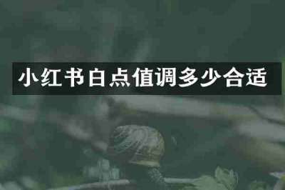 小红书白点值调多少合适