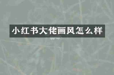 小红书大佬画风怎么样