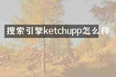 搜索引擎ketchupp怎么样