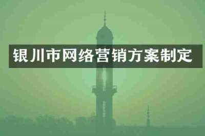银川市网络营销方案制定
