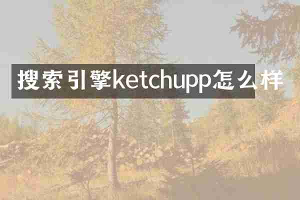 搜索引擎ketchupp怎么样