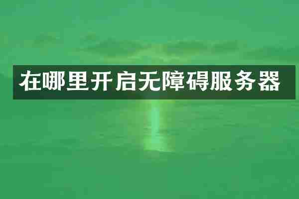 在哪里开启无障碍服务器