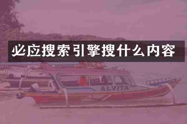必应搜索引擎搜什么内容