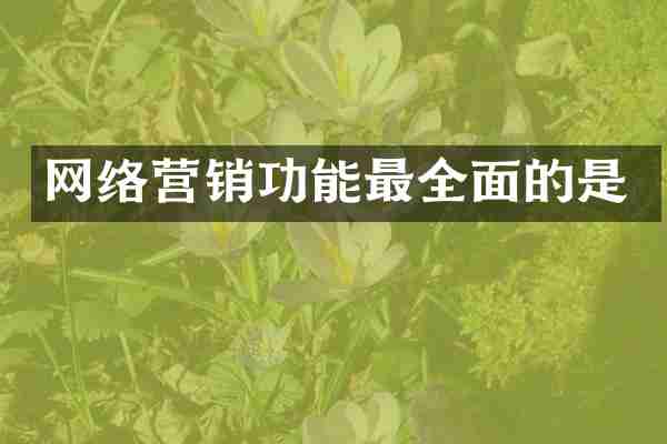 网络营销功能最全面的是