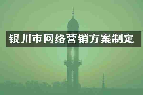 银川市网络营销方案制定