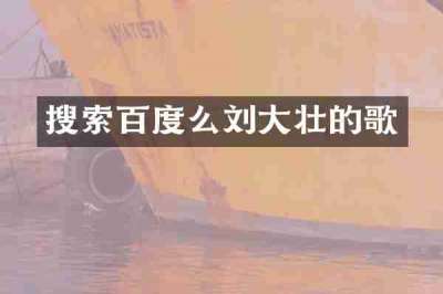 搜索百度么刘大壮的歌